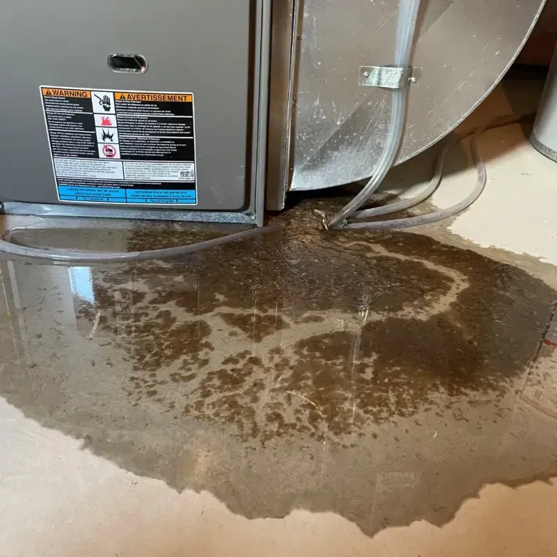 Appliance Leak Cleanup in Lincoln City, OR